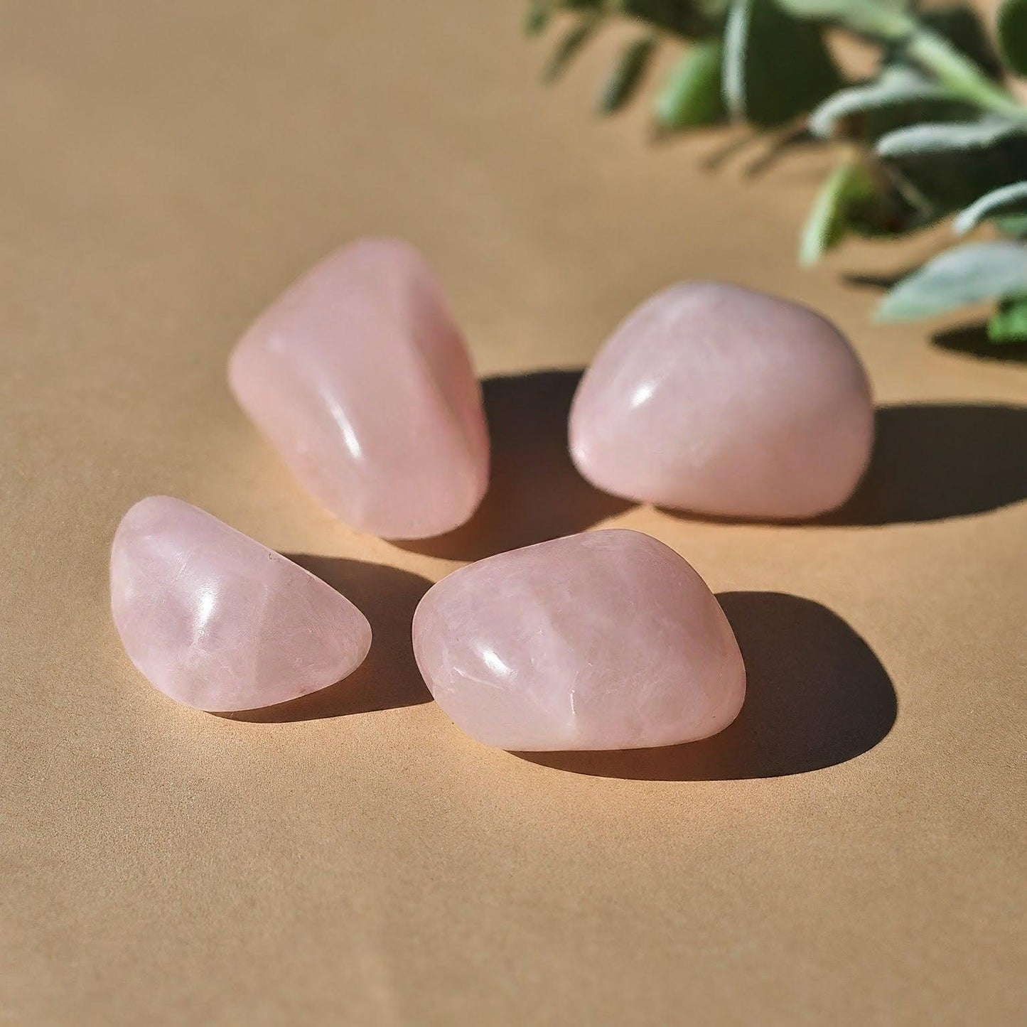 Rose Quartz Tumbled Stones | Self-Care, Enhance Emotional Wellbeing