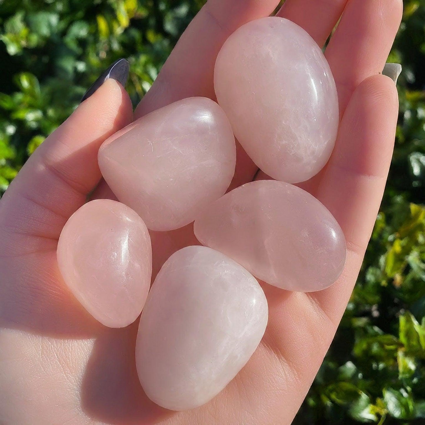 Rose Quartz Tumbled Stones | Self-Care, Enhance Emotional Wellbeing