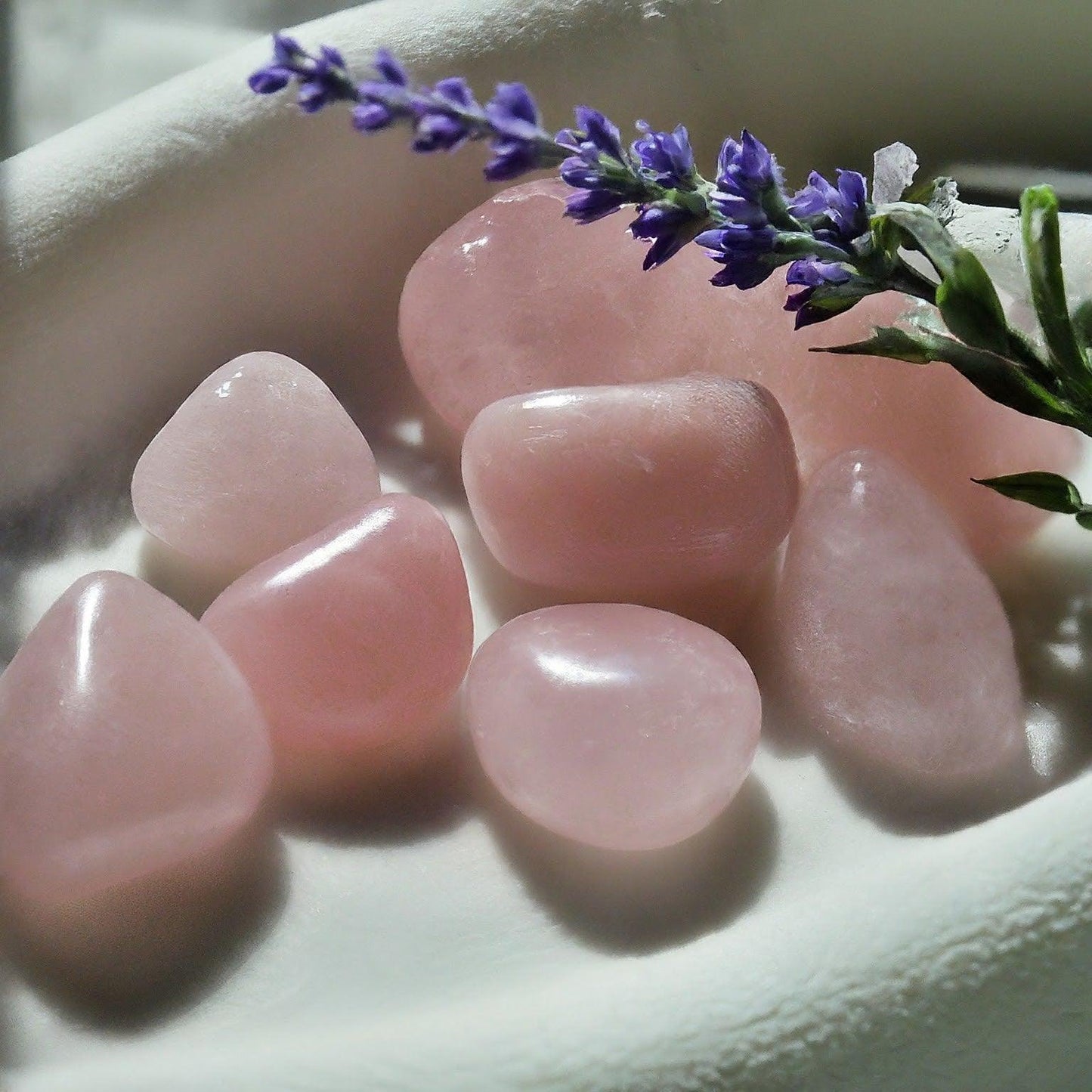Rose Quartz Tumbled Stones | Self-Care, Enhance Emotional Wellbeing