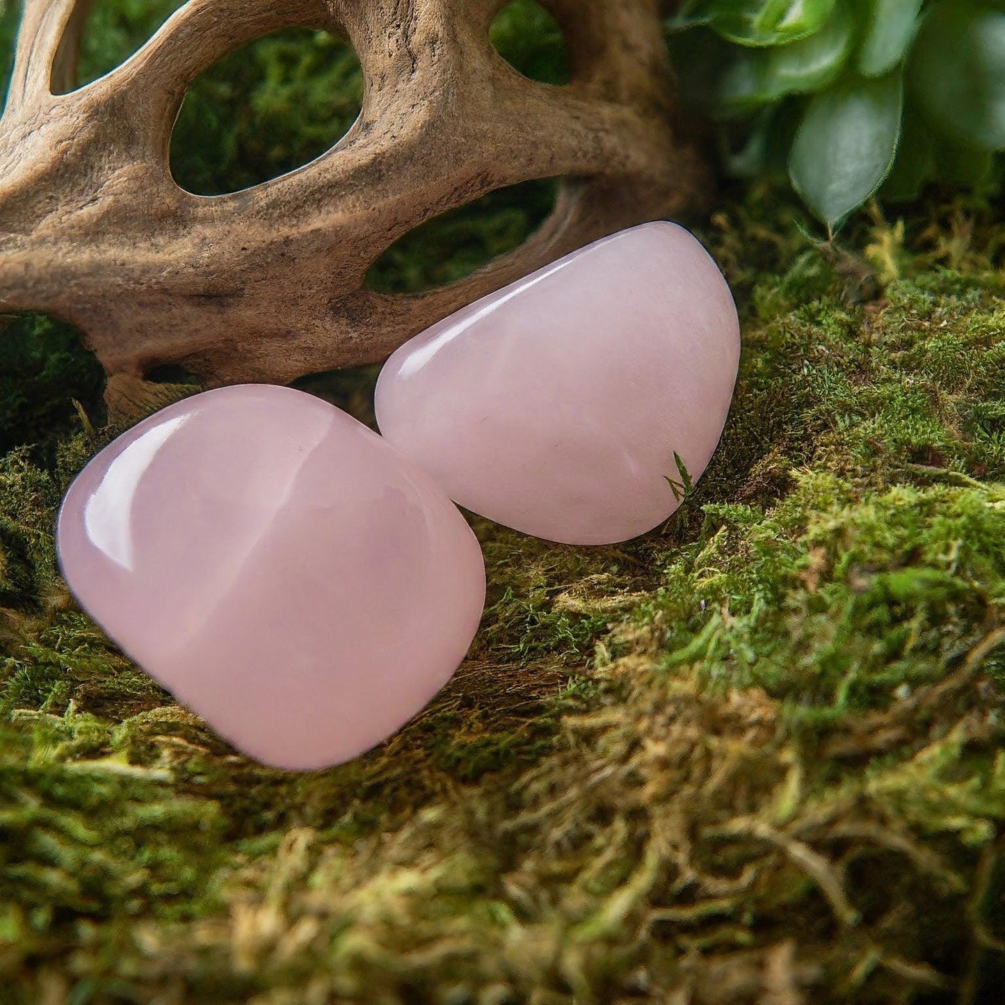 Rose Quartz Tumbled Stones | Self-Care, Enhance Emotional Wellbeing