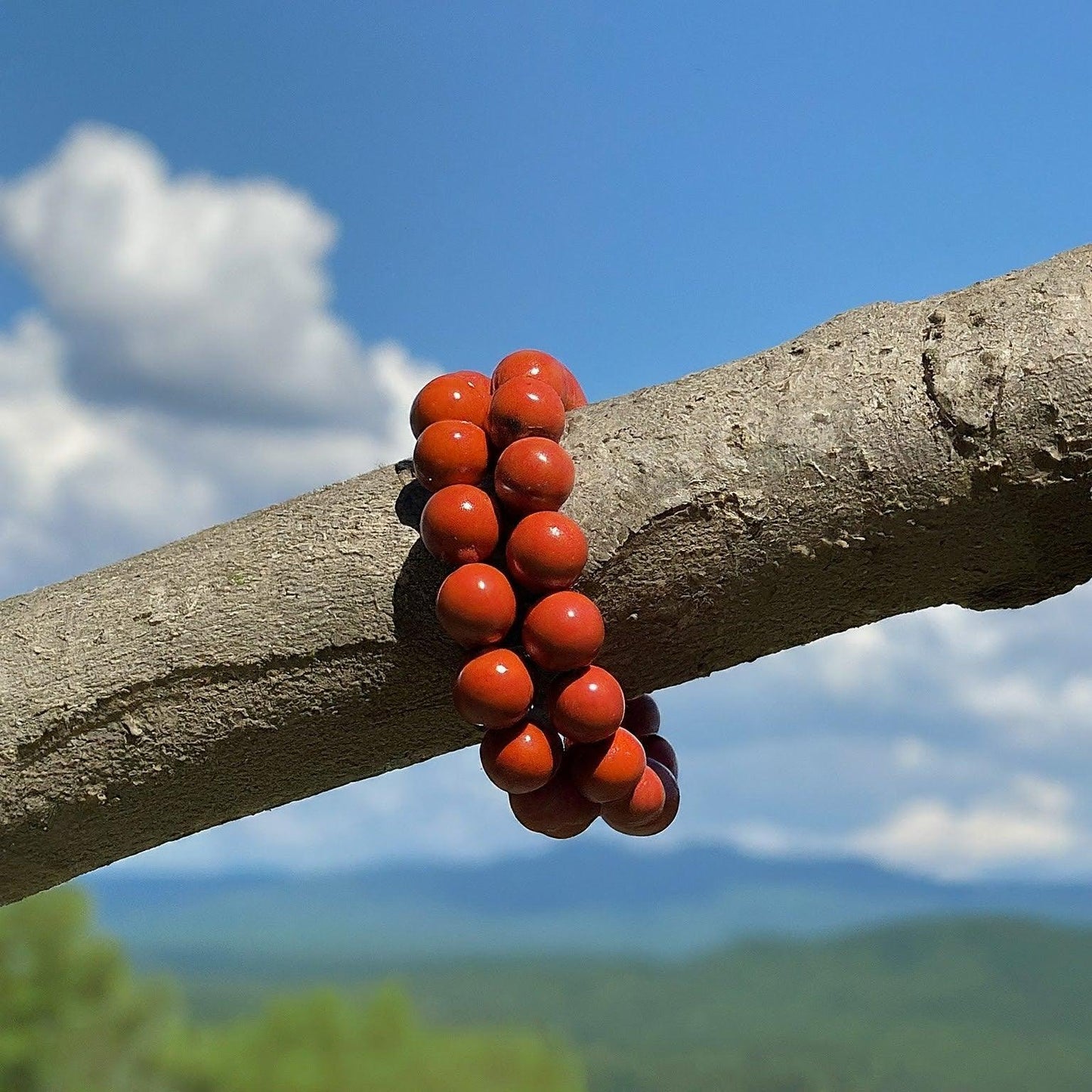 Red Jasper Bracelet | Natural Gemstone for Strength, Vitality & Grounding Energy